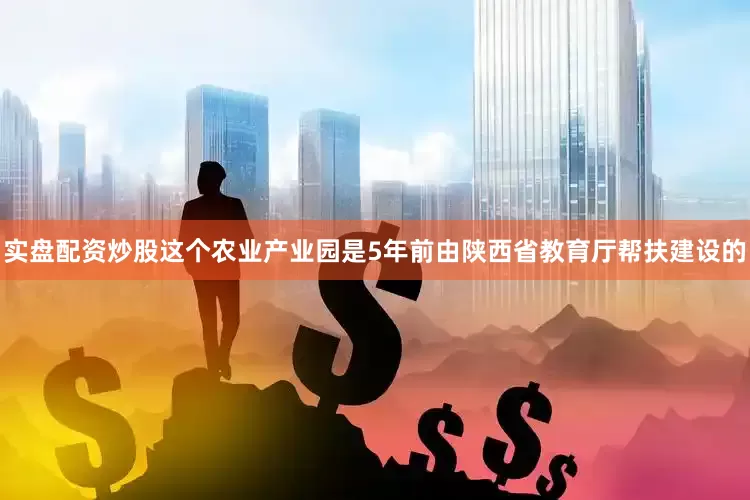 实盘配资炒股这个农业产业园是5年前由陕西省教育厅帮扶建设的
